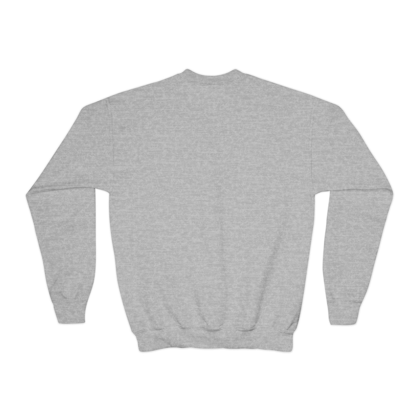 Doggone Lucky Youth Embroidered Crewneck Sweatshirt