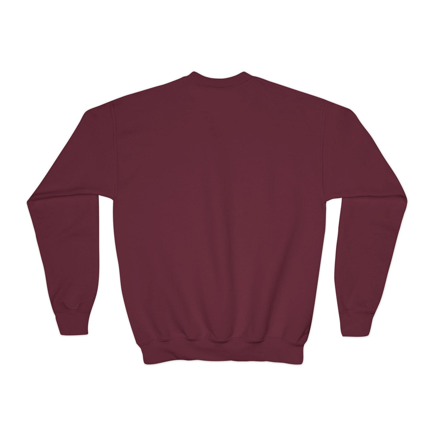 Doggone Lucky Youth Embroidered Crewneck Sweatshirt
