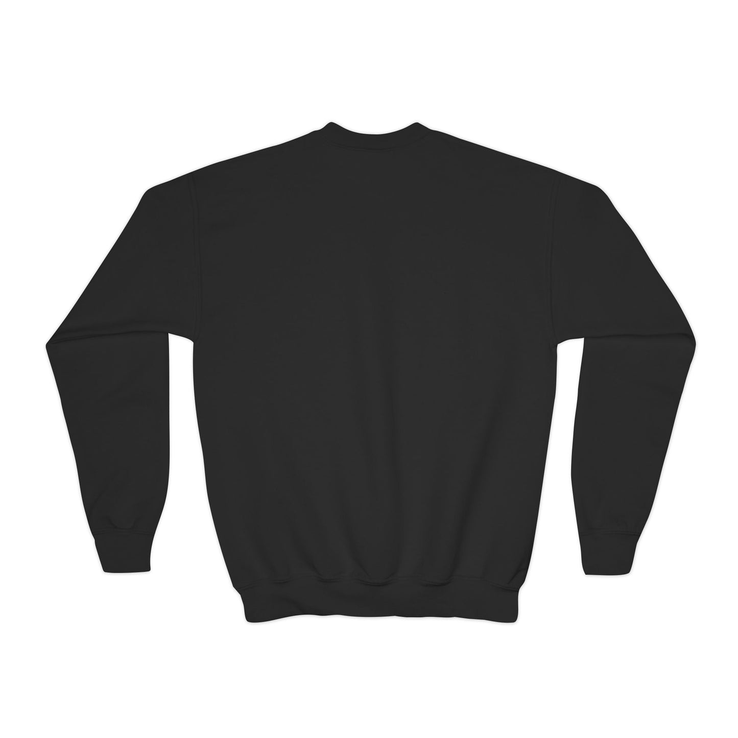 Doggone Lucky Youth Embroidered Crewneck Sweatshirt
