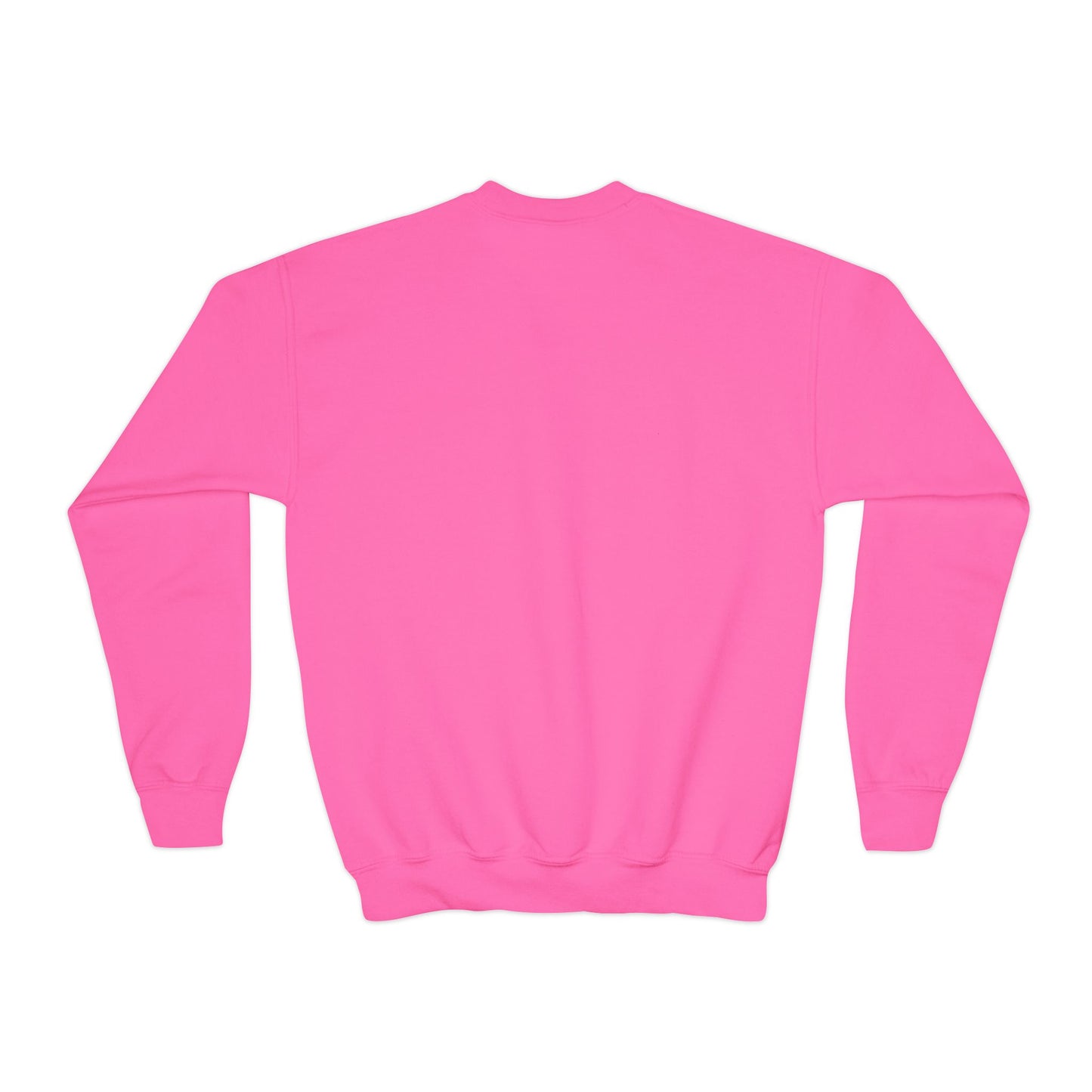 Doggone Lucky Youth Embroidered Crewneck Sweatshirt