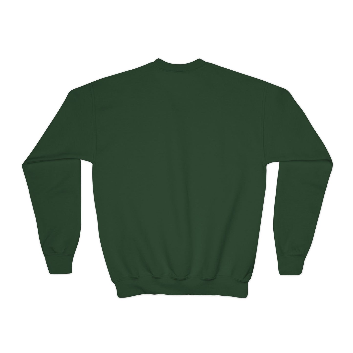 Doggone Lucky Youth Embroidered Crewneck Sweatshirt
