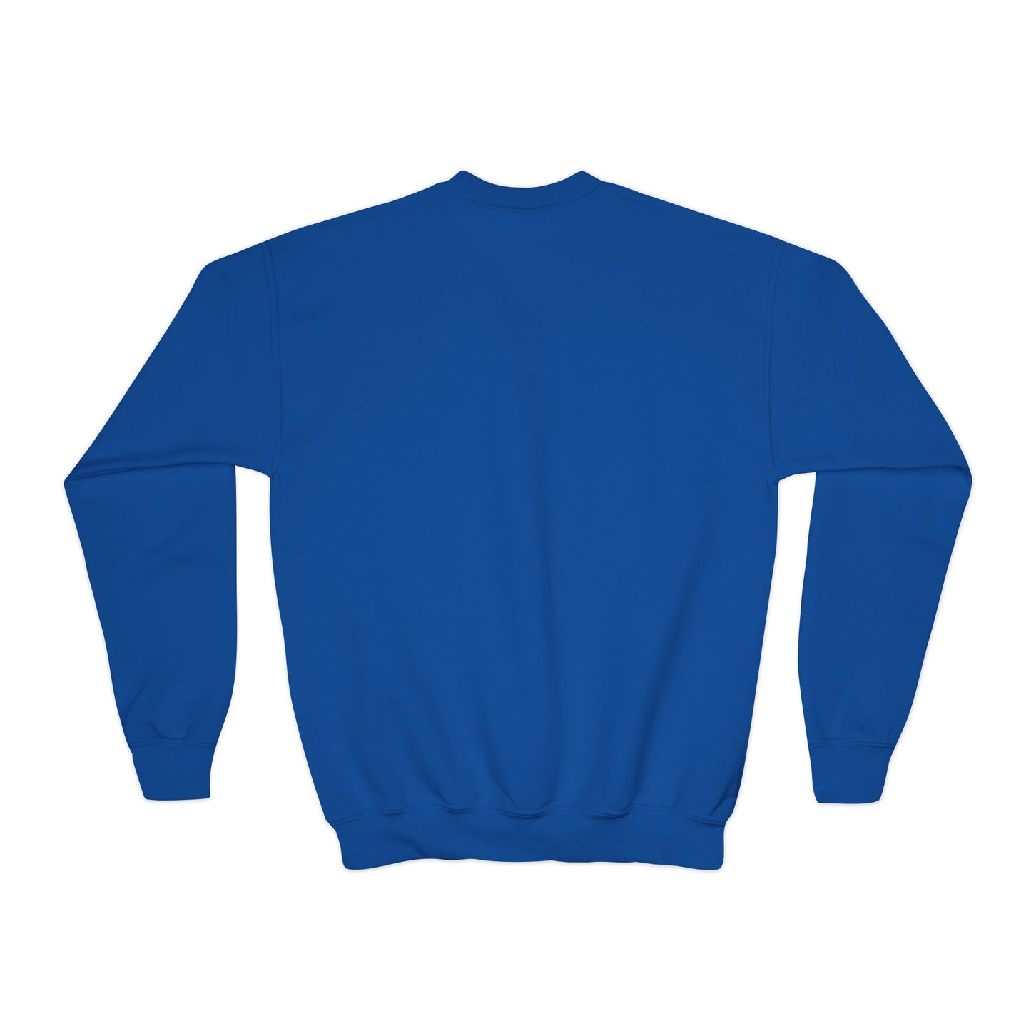 Doggone Lucky Youth Embroidered Crewneck Sweatshirt